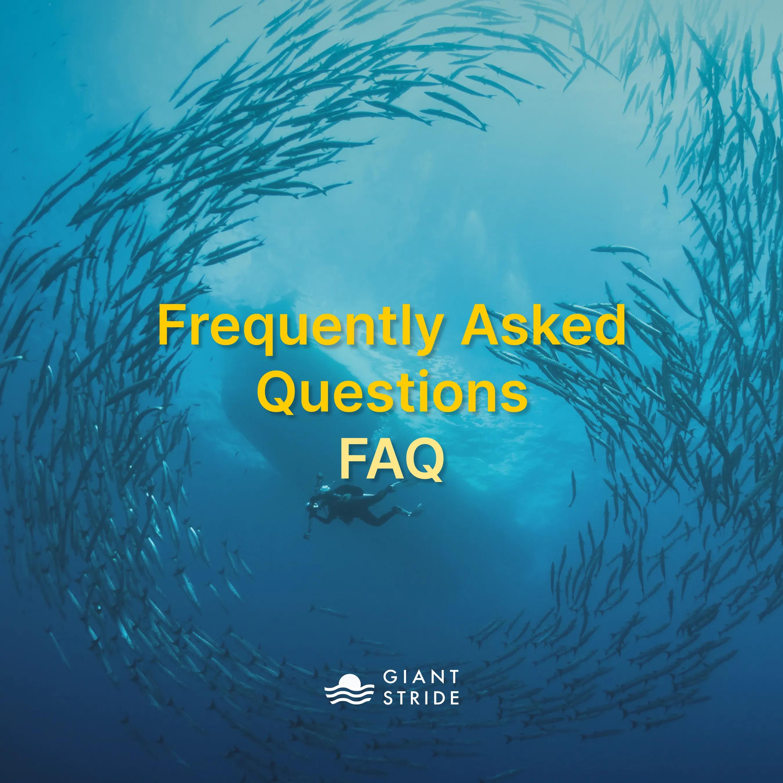 Frequently Asked Questions (FAQ)